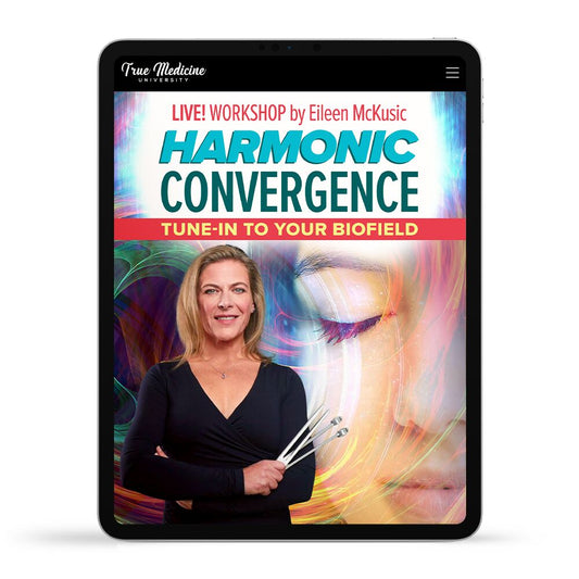 Harmonic Convergence Workshop with Eileen McKusick
