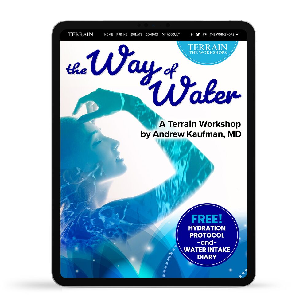 The Way of Water Workshop by Andrew Kaufman, M.D.