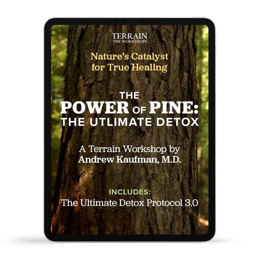 The Power of Pine Workshop by Andrew Kaufman, MD